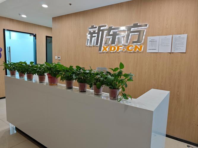 新东方智慧教育:产品布局广泛,明星产品闪耀
