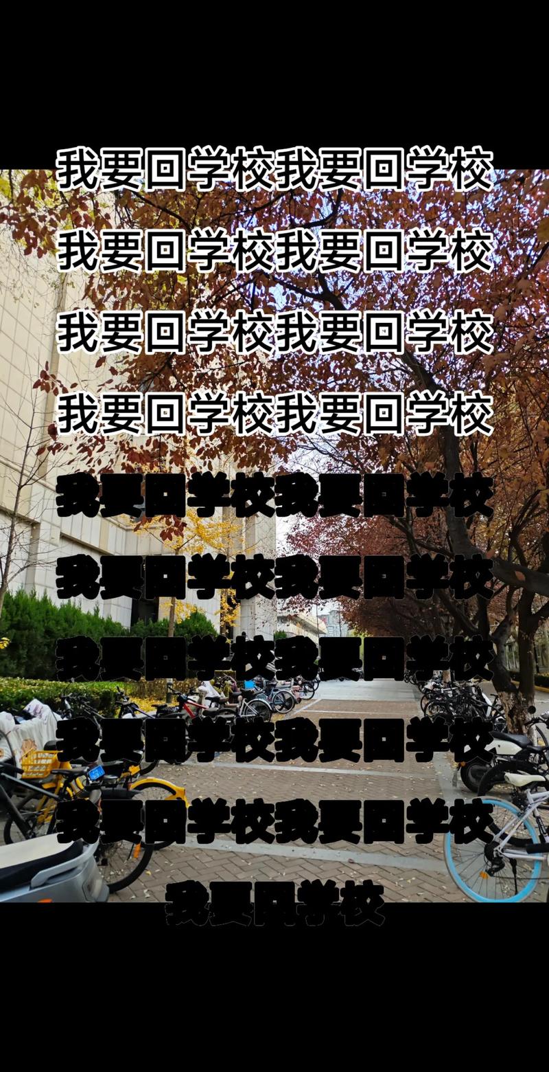 愿归来!这支技术团队好像让我重回校园