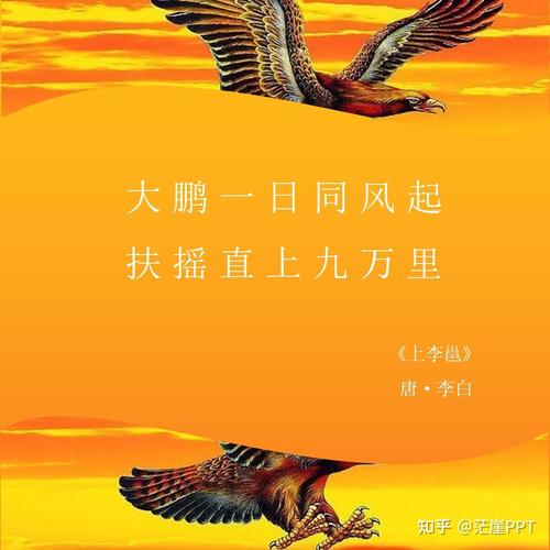 大鹏教育,能否乘政策东风扶摇而起?