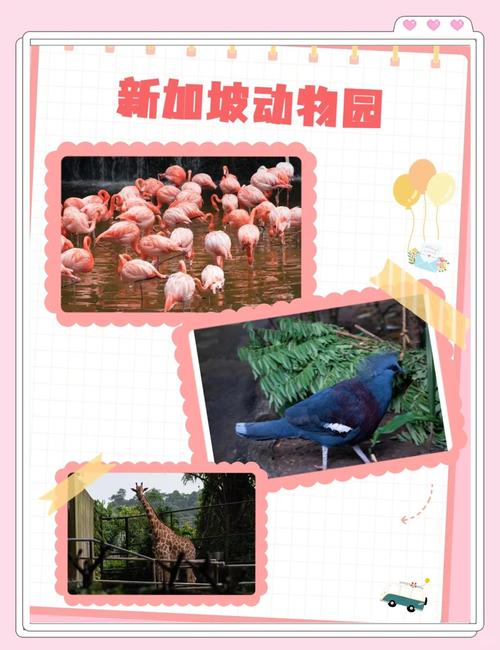 马蜂窝&新加坡旅游局首创线上游学营,重新定义海外亲子游学