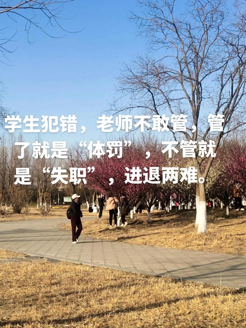 聚焦:“好学生心态受害者”和他们不敢犯错的人生