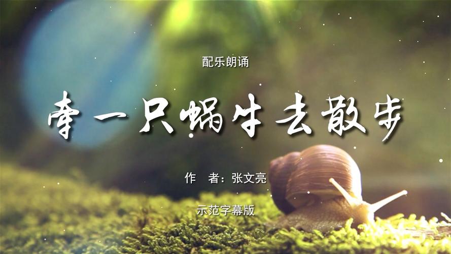 蜗牛我行,奔跑在爱与希望的田野上