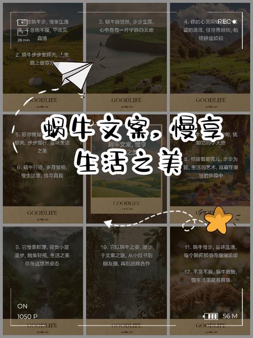 蜗牛我行,奔跑在爱与希望的田野上