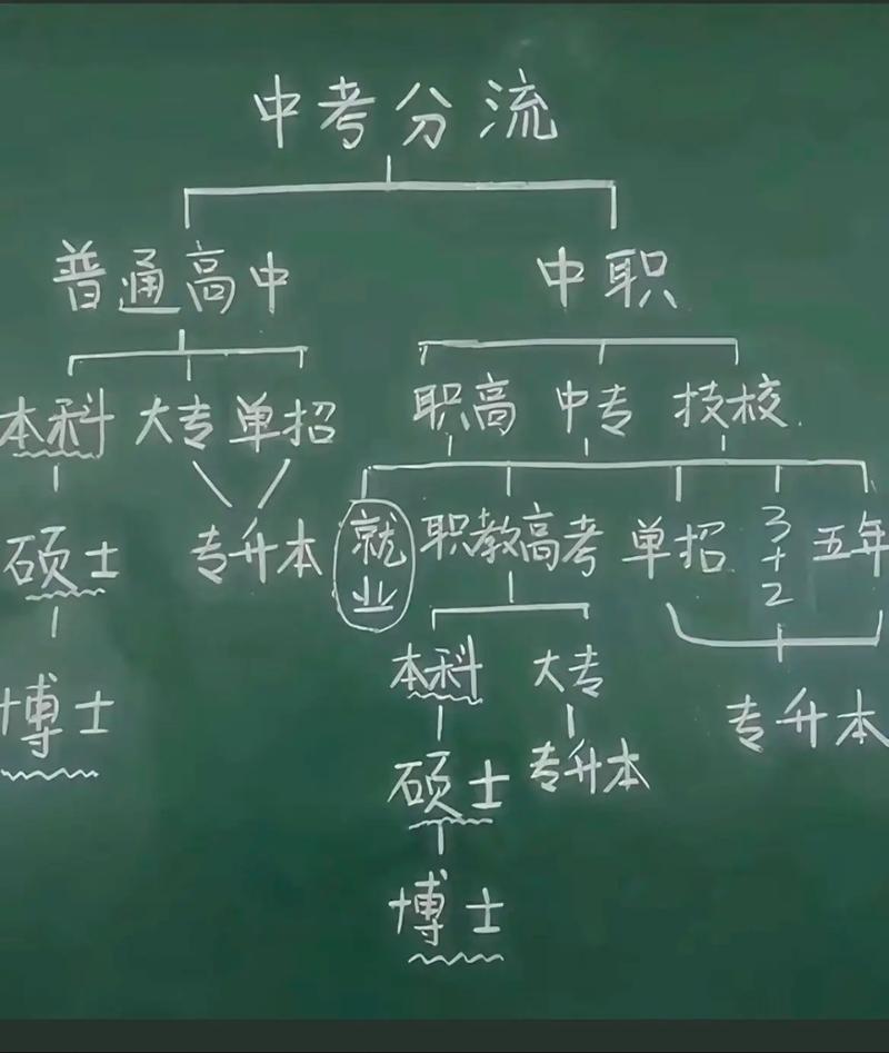 “取消中考分流”另一种声音:分流没有阻断大学路