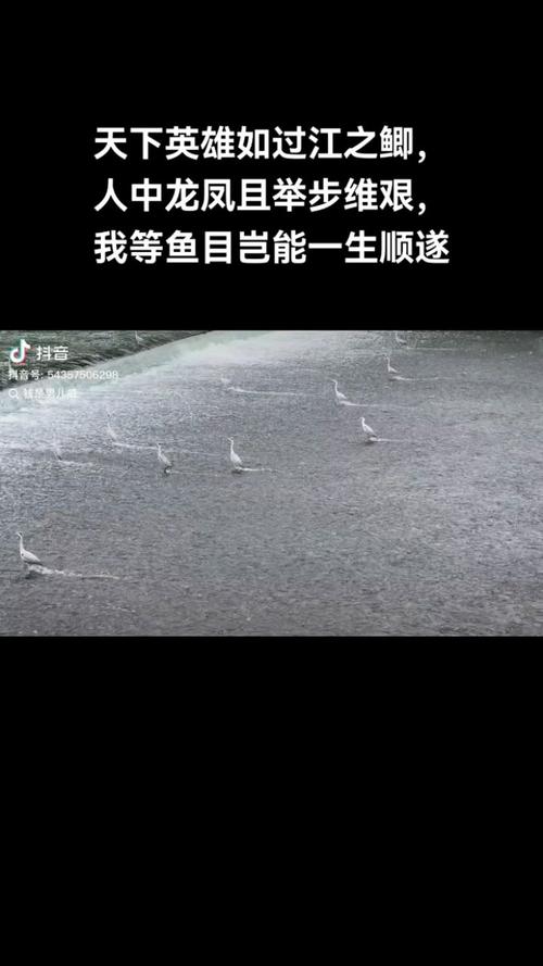 走进伴鱼,遇见37.78倍的自己