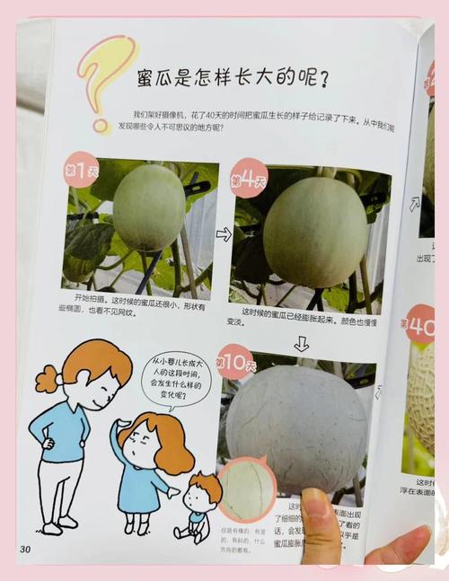 在动手实践中培养良好思维习惯,瓜瓜龙启蒙为孩子成长提供“优质土壤”