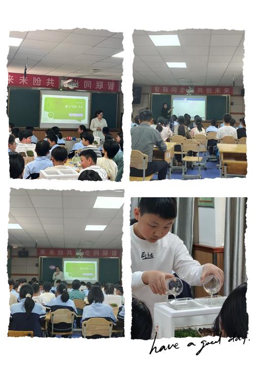 原镇海中学吴刚老师初中科学公益课