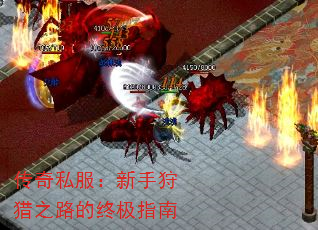 传奇私服:新手狩猎之路的终极指南 传奇私服:新手狩猎之路的终极指南