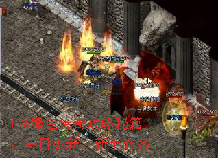 176绿色传奇攻略秘籍:每日更新,新手必备 176绿色传奇攻略秘籍:每日更新,新手必备