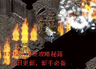 176绿色传奇攻略秘籍:每日更新,新手必备 176绿色传奇攻略秘籍:每日更新,新手必备