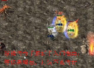 纵横传奇手游新手入门指南:等你来解惑,打造不败传奇 纵横传奇手游新手入门指南:等你来解惑,打造不败传奇