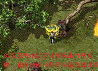 80级无敌小红刀道盾合击传奇攻略:超全技能搭配和装备选择详解 80级无敌小红刀道盾合击传奇攻略:超全技能搭配和装备选择详解