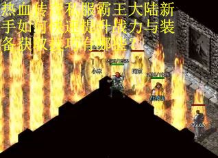 热血传奇私服霸王大陆新手如何快速提升战力与装备获取技巧有哪些? 热血传奇私服霸王大陆新手如何快速提升战力与装备获取技巧有哪些?