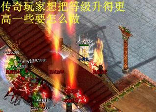 71.传奇找服网 新开传奇私服,热血传奇sf发布网