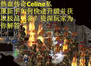 热血传奇Celine私服新手如何快速升级并获取极品装备?资深玩家为你解答 热血传奇Celine私服新手如何快速升级并获取极品装备?资深玩家为你解答