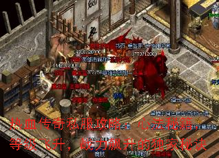 热血传奇私服攻略:心法秘籍,等级飞升,战力飙升的独家秘诀 热血传奇私服攻略:心法秘籍,等级飞升,战力飙升的独家秘诀