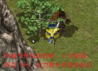 热血传奇私服攻略：心法秘籍，等级飞升，战力飙升的独家秘诀
