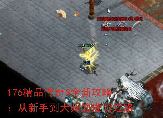 176精品传奇S全新攻略：从新手到大师的进阶之路