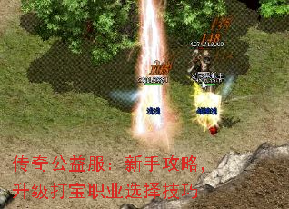 传奇公益服:新手攻略,升级打宝职业选择技巧 传奇公益服:新手攻略,升级打宝职业选择技巧