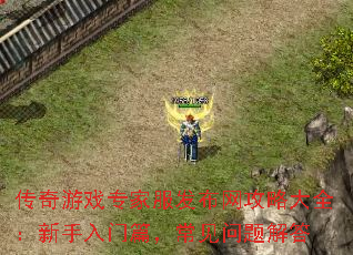传奇游戏专家服发布网攻略大全：新手入门篇，常见问题解答
