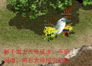 新手踏上传奇征途，不惑问道，何方大神指引前路