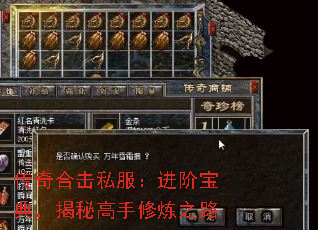 传奇合击私服：进阶宝典，揭秘高手修炼之路