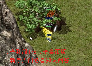 传奇私服176传奇金币版:新手入门必备知识问答 传奇私服176传奇金币版:新手入门必备知识问答