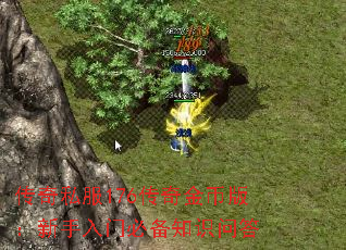 传奇私服176传奇金币版:新手入门必备知识问答 传奇私服176传奇金币版:新手入门必备知识问答