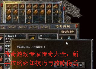 传奇游戏专家传奇大全：新手攻略必知技巧与攻略秘籍