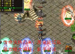 传奇火热归来:黑金论坛私服攻略大揭秘,新手必读 传奇火热归来:黑金论坛私服攻略大揭秘,新手必读