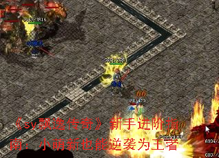 《sy飘逸传奇》新手进阶指南:小萌新也能逆袭为王者 《sy飘逸传奇》新手进阶指南:小萌新也能逆袭为王者