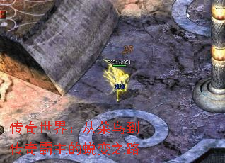 传奇世界:从菜鸟到传奇霸主的蜕变之路 传奇世界:从菜鸟到传奇霸主的蜕变之路