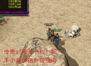 传奇sf刚开一秒:新手小白快速升级指南 传奇sf刚开一秒:新手小白快速升级指南