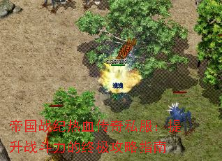 帝国战纪热血传奇私服:提升战斗力的终极攻略指南 帝国战纪热血传奇私服:提升战斗力的终极攻略指南