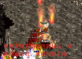 传奇英雄无编号码的秘诀:揭开隐藏玄机,掌握制胜之道 传奇英雄无编号码的秘诀:揭开隐藏玄机,掌握制胜之道