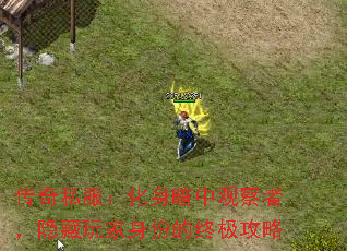 传奇私服：化身暗中观察者，隐藏玩家身份的终极攻略