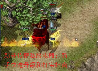 新开传奇私服攻略：新手快速升级和打宝指南