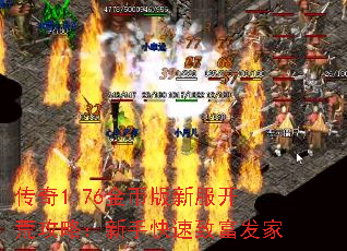 传奇1.76金币版新服开荒攻略:新手快速致富发家 传奇1.76金币版新服开荒攻略:新手快速致富发家