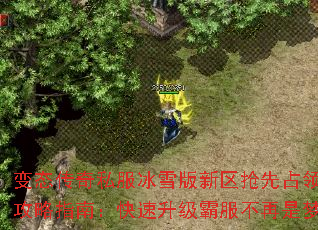 变态传奇私服冰雪版新区抢先占领攻略指南:快速升级霸服不再是梦 变态传奇私服冰雪版新区抢先占领攻略指南:快速升级霸服不再是梦