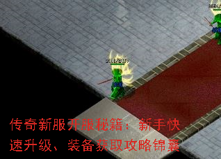 传奇新服开服秘籍：新手快速升级、装备获取攻略锦囊
