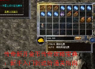 传奇新开金币传奇攻略宝典:新手入门到进阶通关指南 传奇新开金币传奇攻略宝典:新手入门到进阶通关指南
