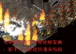 传奇新开金币传奇攻略宝典:新手入门到进阶通关指南 传奇新开金币传奇攻略宝典:新手入门到进阶通关指南
