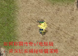 如何称霸传奇sf电脑版:资深玩家揭秘精髓策略 如何称霸传奇sf电脑版:资深玩家揭秘精髓策略
