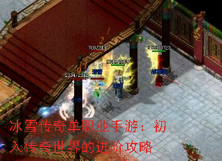 冰雪传奇单职业手游:初入传奇世界的进阶攻略 冰雪传奇单职业手游:初入传奇世界的进阶攻略