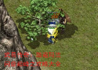 武易传奇:踏遍玛法问鼎巅峰之攻略大全 武易传奇:踏遍玛法问鼎巅峰之攻略大全