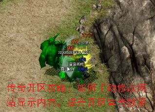 传奇开区攻略:如何手动修改网站显示内容,提升开区宣传效果 传奇开区攻略:如何手动修改网站显示内容,提升开区宣传效果