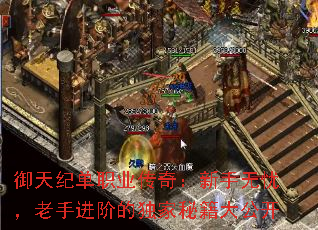 御天纪单职业传奇：新手无忧，老手进阶的独家秘籍大公开