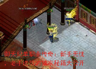 御天纪单职业传奇：新手无忧，老手进阶的独家秘籍大公开