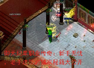 御天纪单职业传奇：新手无忧，老手进阶的独家秘籍大公开