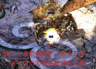 御天纪单职业传奇：新手无忧，老手进阶的独家秘籍大公开